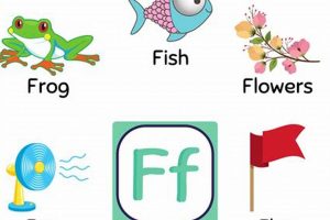 Mastering F-End Words: Tips &amp; Tricks for 'f' Words | Best Final Touch: Elevate Your Projects with Professional Finishing