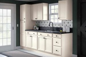 Best Ready to Finish Cabinets at Lowe's: Your Finishing Guide | Best Final Touch: Elevate Your Projects with Professional Finishing