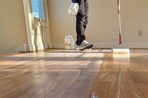 Best Hardwood Floor Sealer & Finish: Guide + Tips Best Final Touch: Elevate Your Projects with Professional Finishing Best Hardwood Floor Sealer & Finish: Guide + Tips | Best Final Touch: Elevate Your Projects with Professional Finishing