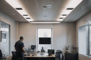 Commercial Tenant Finish: Design & Build Out Tips Best Final Touch: Elevate Your Projects with Professional Finishing Commercial Tenant Finish: Design & Build Out Tips | Best Final Touch: Elevate Your Projects with Professional Finishing