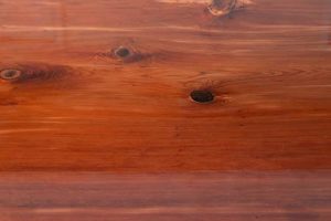 Achieve a Rich Redwood Finish: Colors, Tips &amp; More! | Best Final Touch: Elevate Your Projects with Professional Finishing