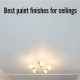 Best What Finish for Ceiling Paint: Guide &amp; Tips | Best Final Touch: Elevate Your Projects with Professional Finishing
