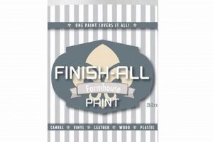 Tips to Finish All Paint - No Waste! | Best Final Touch: Elevate Your Projects with Professional Finishing