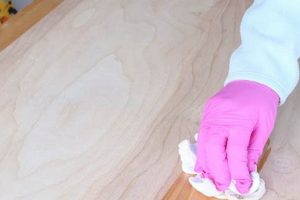 How to Finish Birch Wood: Easy Step-by-Step Guide Best Final Touch: Elevate Your Projects with Professional Finishing How to Finish Birch Wood: Easy Step-by-Step Guide | Best Final Touch: Elevate Your Projects with Professional Finishing