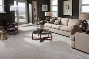 Monroe MI's Premier Finisher: Finishers Unlimited Best Final Touch: Elevate Your Projects with Professional Finishing Monroe MI's Premier Finisher: Finishers Unlimited | Best Final Touch: Elevate Your Projects with Professional Finishing