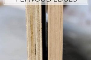 Edge Perfect: How to Finish Edge of Plywood Like a Pro Best Final Touch: Elevate Your Projects with Professional Finishing Edge Perfect: How to Finish Edge of Plywood Like a Pro | Best Final Touch: Elevate Your Projects with Professional Finishing