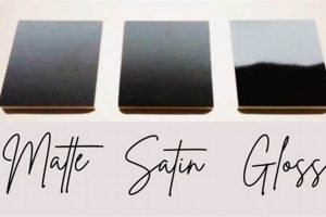 Matte Paint: What Is It & Is It Right for You? | Best Final Touch: Elevate Your Projects with Professional Finishing