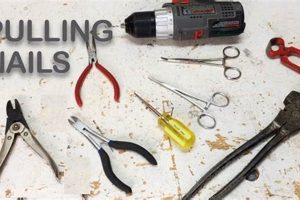 Easy How-To: Remove Finishing Nails (Without Damage!) Best Final Touch: Elevate Your Projects with Professional Finishing Easy How-To: Remove Finishing Nails (Without Damage!) | Best Final Touch: Elevate Your Projects with Professional Finishing