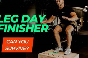 Crush Leg Day: Best Finisher Exercises to End Strong! Best Final Touch: Elevate Your Projects with Professional Finishing Crush Leg Day: Best Finisher Exercises to End Strong! | Best Final Touch: Elevate Your Projects with Professional Finishing