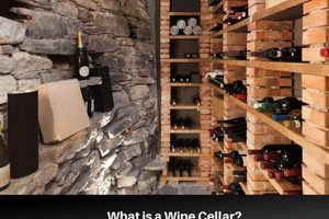 Cellar Stoop: Boost Your Basement Finishing Meaning Now! | Best Final Touch: Elevate Your Projects with Professional Finishing