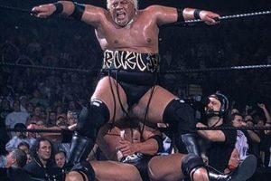 Sumo Showdown: Master the Rikishi Finisher Techniques! | Best Final Touch: Elevate Your Projects with Professional Finishing