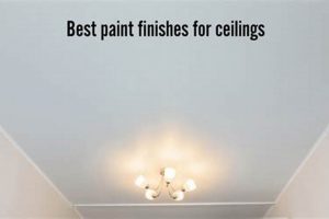 Best Ceiling Paint Finish Ideas: Tips & Tricks Best Final Touch: Elevate Your Projects with Professional Finishing Best Ceiling Paint Finish Ideas: Tips & Tricks | Best Final Touch: Elevate Your Projects with Professional Finishing