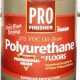 Best Parks Pro Finisher Polyurethane: Top Coat & Beyond! | Best Final Touch: Elevate Your Projects with Professional Finishing
