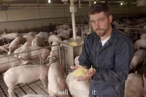 Maximize Finishing Swine Growth: Tips & Strategies Best Final Touch: Elevate Your Projects with Professional Finishing Maximize Finishing Swine Growth: Tips & Strategies | Best Final Touch: Elevate Your Projects with Professional Finishing
