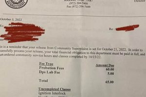 Life After Finishing Probation: Your Fresh Start Guide Best Final Touch: Elevate Your Projects with Professional Finishing Life After Finishing Probation: Your Fresh Start Guide | Best Final Touch: Elevate Your Projects with Professional Finishing