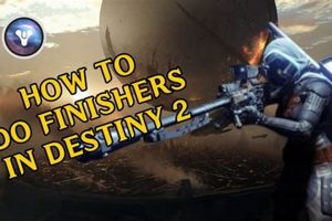 Destiny 2 Finishers: Unleash Style & Power Moves! Best Final Touch: Elevate Your Projects with Professional Finishing Destiny 2 Finishers: Unleash Style & Power Moves! | Best Final Touch: Elevate Your Projects with Professional Finishing