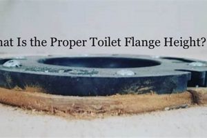 Toilet Flange Height Above Floor: Easy Install Tips Best Final Touch: Elevate Your Projects with Professional Finishing Toilet Flange Height Above Floor: Easy Install Tips | Best Final Touch: Elevate Your Projects with Professional Finishing