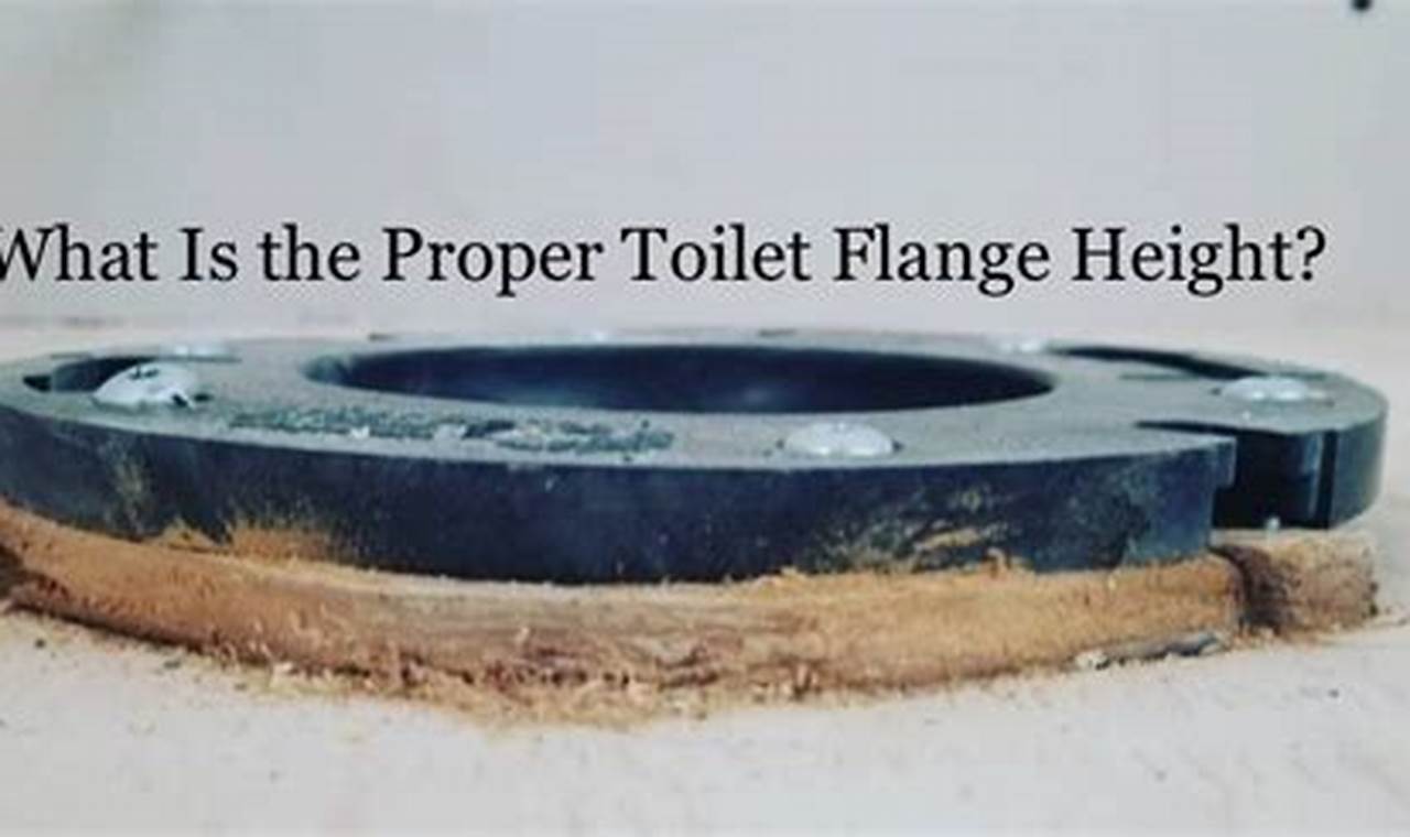 Toilet Flange Height Above Floor: Easy Install Tips Best Final Touch: Elevate Your Projects with Professional Finishing Toilet Flange Height Above Floor: Easy Install Tips | Best Final Touch: Elevate Your Projects with Professional Finishing