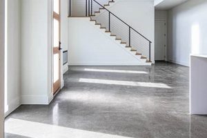 Achieve Stunning Polished Concrete Finish: Tips & Guide Best Final Touch: Elevate Your Projects with Professional Finishing Achieve Stunning Polished Concrete Finish: Tips & Guide | Best Final Touch: Elevate Your Projects with Professional Finishing