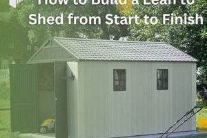 Shed Finishing: How to Finish a Shed Project Right! Best Final Touch: Elevate Your Projects with Professional Finishing Shed Finishing: How to Finish a Shed Project Right! | Best Final Touch: Elevate Your Projects with Professional Finishing