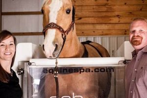 Your Jackson, TN Finish Line: Shoes & More! Best Final Touch: Elevate Your Projects with Professional Finishing Your Jackson, TN Finish Line: Shoes & More! | Best Final Touch: Elevate Your Projects with Professional Finishing