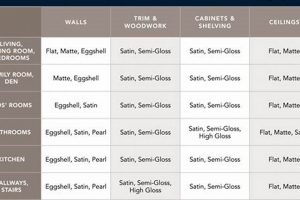 Best Exterior Paint Finish: Types & Options for Lasting Curb Appeal | Best Final Touch: Elevate Your Projects with Professional Finishing