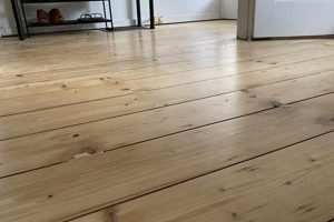 Best Floorboard Finish Ideas: Protect & Beautify Best Final Touch: Elevate Your Projects with Professional Finishing Best Floorboard Finish Ideas: Protect & Beautify | Best Final Touch: Elevate Your Projects with Professional Finishing