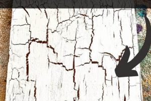 Achieve Vintage Charm: Crackle Finish Paint Effects Best Final Touch: Elevate Your Projects with Professional Finishing Achieve Vintage Charm: Crackle Finish Paint Effects | Best Final Touch: Elevate Your Projects with Professional Finishing