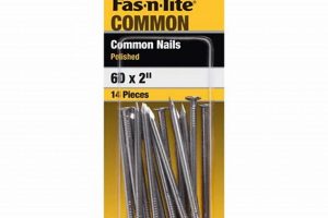 Buy 6d Finish Nails: Size, Uses & Expert Tips Best Final Touch: Elevate Your Projects with Professional Finishing Buy 6d Finish Nails: Size, Uses & Expert Tips | Best Final Touch: Elevate Your Projects with Professional Finishing