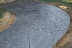 Top Decorative Concrete Finish Ideas: Styles & Trends Best Final Touch: Elevate Your Projects with Professional Finishing Top Decorative Concrete Finish Ideas: Styles & Trends | Best Final Touch: Elevate Your Projects with Professional Finishing