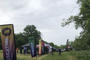 Dubuque's Finish Line: IA Athletic Gear & Shoes! Best Final Touch: Elevate Your Projects with Professional Finishing Dubuque's Finish Line: IA Athletic Gear & Shoes! | Best Final Touch: Elevate Your Projects with Professional Finishing