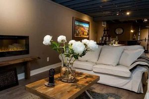 Basement Ideas: Low Ceiling Basement Finishing Ideas That Work! | Best Final Touch: Elevate Your Projects with Professional Finishing
