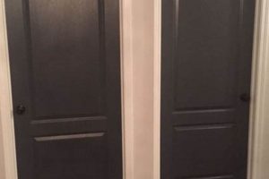 Choosing the Best Paint Finish for Interior Doors: A Guide Best Final Touch: Elevate Your Projects with Professional Finishing Choosing the Best Paint Finish for Interior Doors: A Guide | Best Final Touch: Elevate Your Projects with Professional Finishing