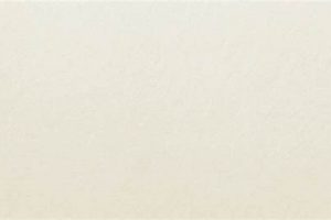 Achieve Flawless Walls: Smooth Plaster Finish Guide | Best Final Touch: Elevate Your Projects with Professional Finishing