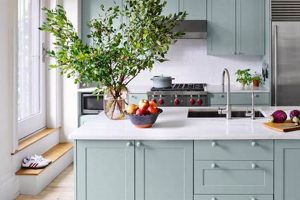 Best Paint: What Finish is Best for Kitchen Cabinets? Tips! | Best Final Touch: Elevate Your Projects with Professional Finishing