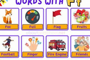 "F"inale: Words That Finish with F - Fun Facts! | Best Final Touch: Elevate Your Projects with Professional Finishing