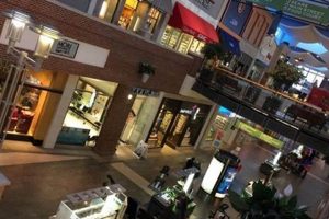 Durham Finish Line: Races, Events, & More | Best Final Touch: Elevate Your Projects with Professional Finishing