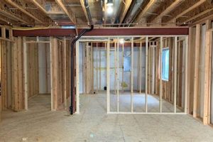 Local Basement Finishing Parker, CO Experts | Best Final Touch: Elevate Your Projects with Professional Finishing