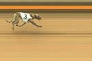 Close Race: Photo Finish Result Explained in Depth Best Final Touch: Elevate Your Projects with Professional Finishing Close Race: Photo Finish Result Explained in Depth | Best Final Touch: Elevate Your Projects with Professional Finishing