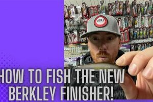 Become a Berkeley Finisher: Tips &amp; Success Stories | Best Final Touch: Elevate Your Projects with Professional Finishing