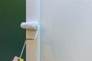 Achieve Pro Results: How to Get a Smooth Paint Finish Easily | Best Final Touch: Elevate Your Projects with Professional Finishing