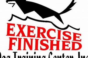 Achieve Exercise Finished Chicopee: Your Complete Guide | Best Final Touch: Elevate Your Projects with Professional Finishing