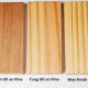 Best Wood Finishes for Pine Projects: Tips &amp; Topcoats | Best Final Touch: Elevate Your Projects with Professional Finishing