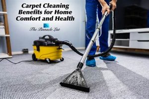 Achieve Softness: Comfort Finish Carpet Cleaning Pro | Best Final Touch: Elevate Your Projects with Professional Finishing
