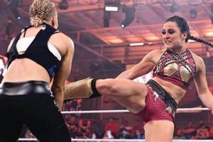 Mastering the Lyra Valkyria Finisher: Pro Techniques | Best Final Touch: Elevate Your Projects with Professional Finishing