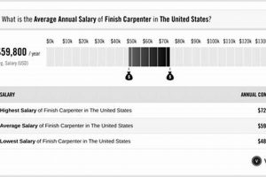 Boost Your Line: Finish Line Salary & Team Success | Best Final Touch: Elevate Your Projects with Professional Finishing