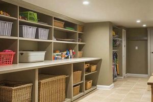 Basement Bliss: Finished Basement Storage Ideas & Tips | Best Final Touch: Elevate Your Projects with Professional Finishing