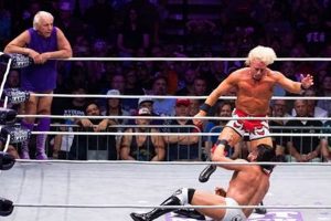 Mastering the Ric Flair Finishing Move: Nature Boy Secrets! | Best Final Touch: Elevate Your Projects with Professional Finishing