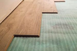 Basement Floor Finishing Ideas: DIY Guide & Options | Best Final Touch: Elevate Your Projects with Professional Finishing