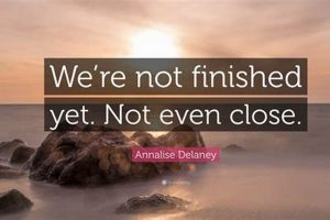 Project Done! We Are Finished: The Ultimate Guide | Best Final Touch: Elevate Your Projects with Professional Finishing